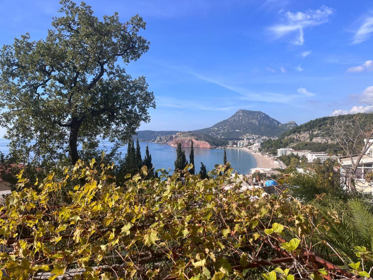 Apartments In Villa Viktoria سوتوموري المظهر الخارجي الصورة