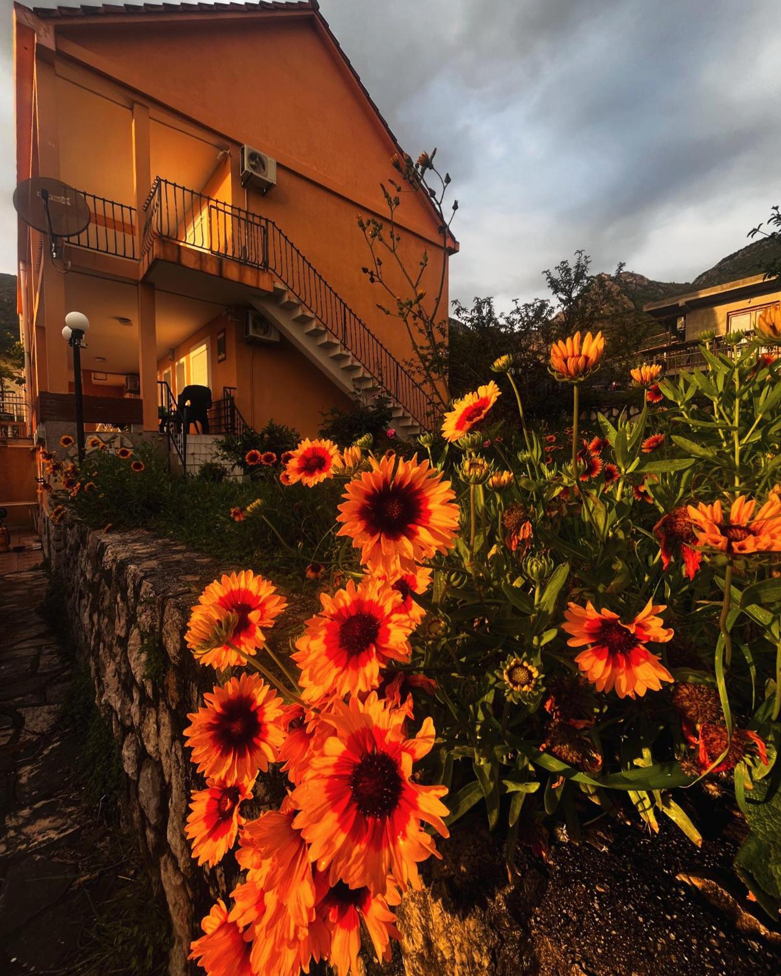 Apartments In Villa Viktoria سوتوموري المظهر الخارجي الصورة